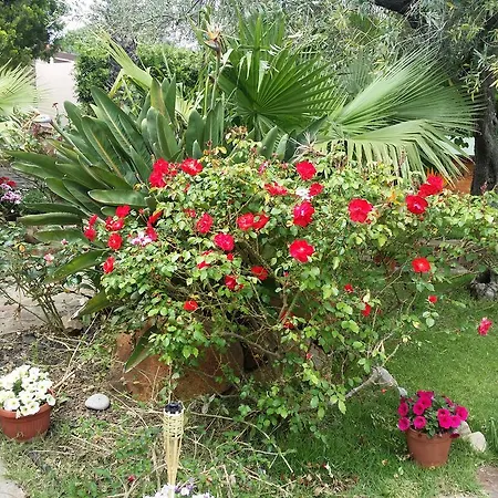 Villa Sul Mare